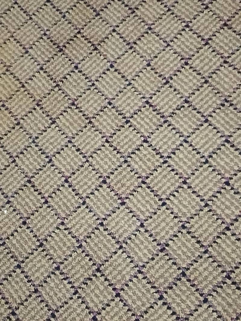 Carpets 0