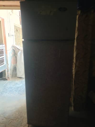 use main fridge hai normal size