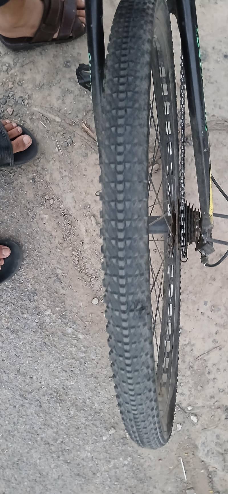 Migeer Cycle 3