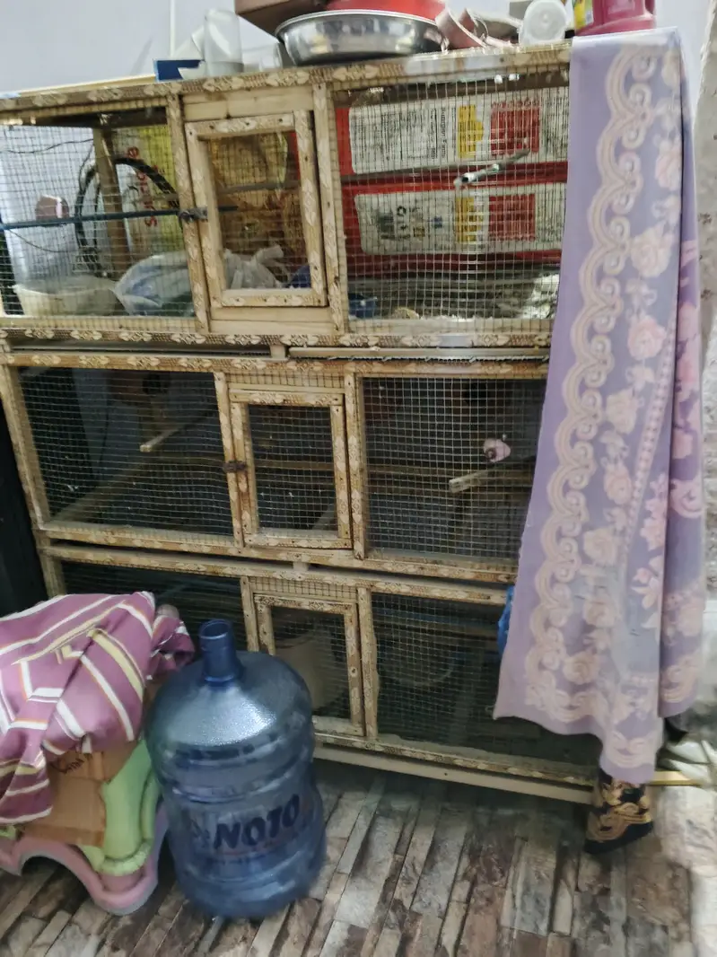 Wooden cage heavy duty almost new condition
