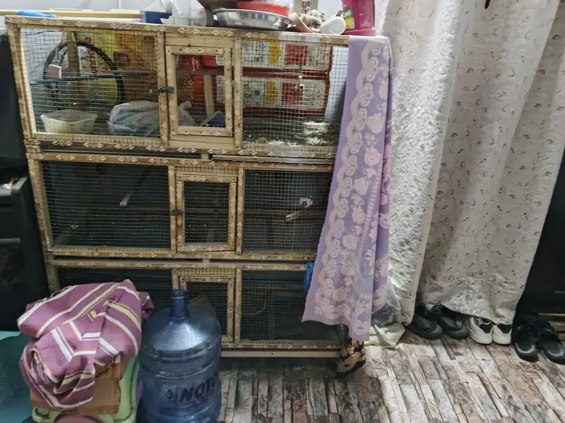 Wooden cage heavy duty almost new condition — photo 2