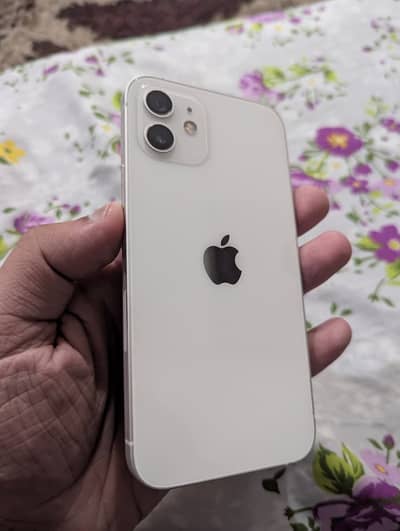 Apple iPhone 12