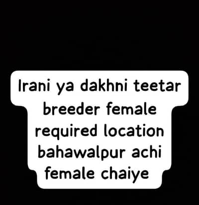 need female Irani or dakhni