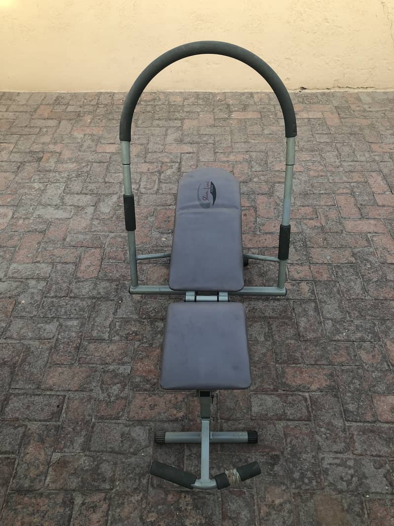 AB King Pro Exerciser 0