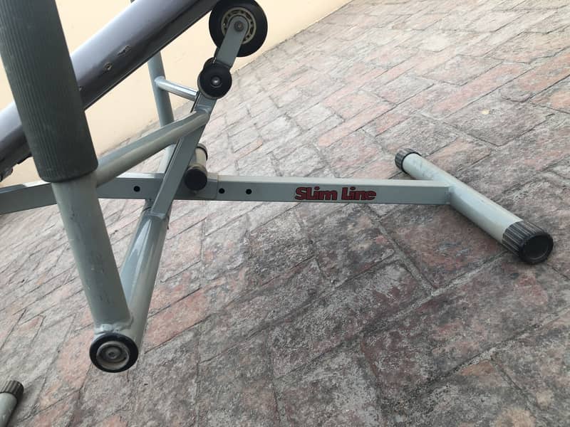 AB King Pro Exerciser 7