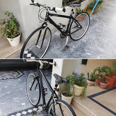Australian imported racing cycle
