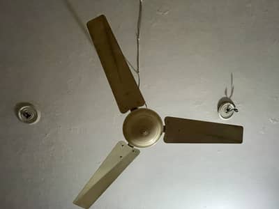 Ceiling fan