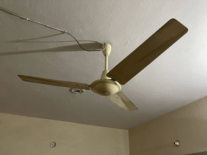 Ceiling fan 1