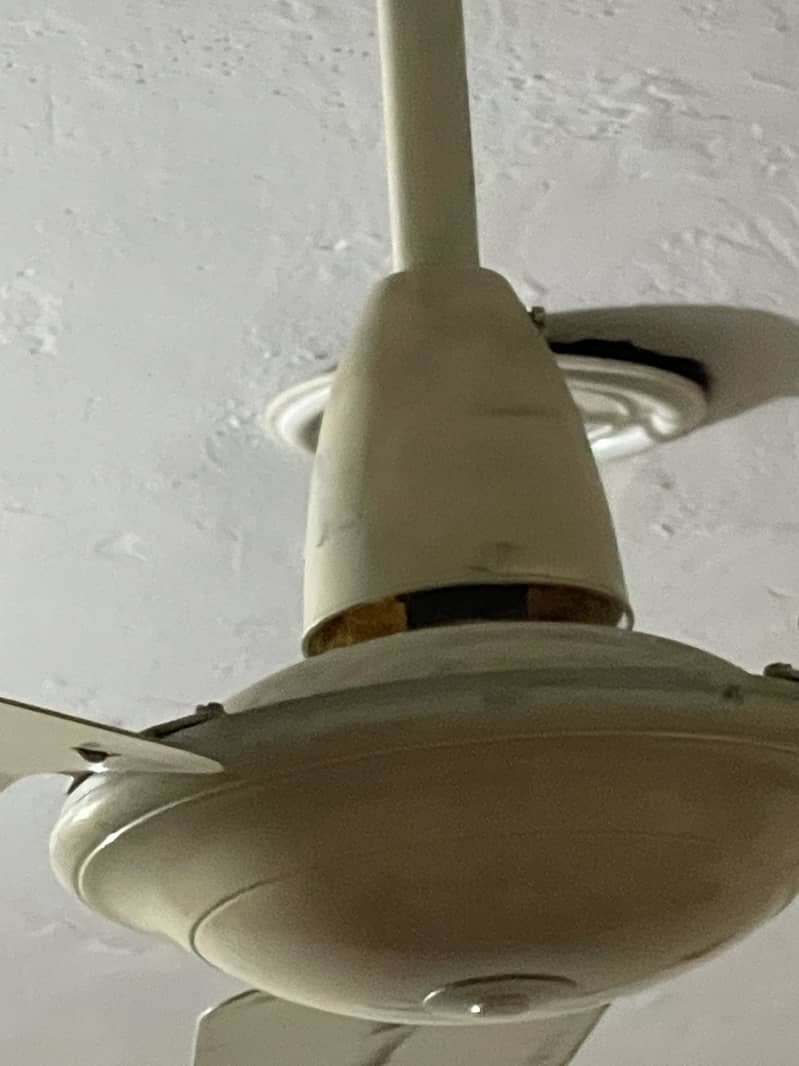Ceiling fan 3