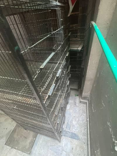 8 portion cage for sale in good condition