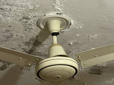 Ceiling fan
