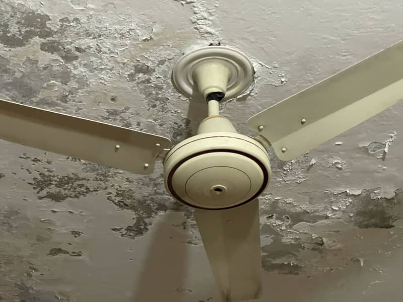 Ceiling fan 1