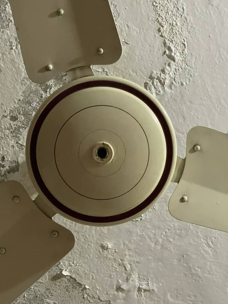 Ceiling fan 2