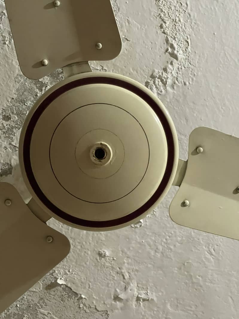 Ceiling fan 3