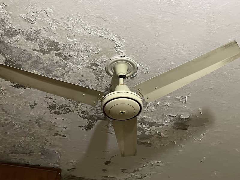 Ceiling fan 4