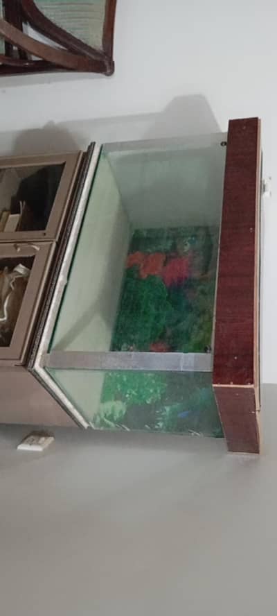 I want to sell fish aquarium urgently only 7000 rupees