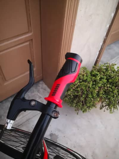 Mejias Imported Hybrid Bike for Fat Loss.