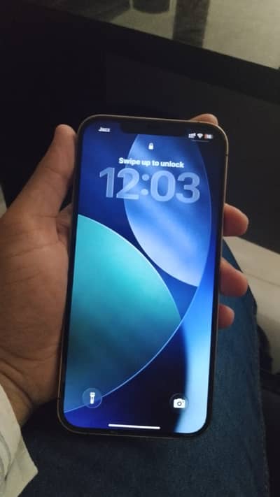 Apple iPhone 12 Pro Max