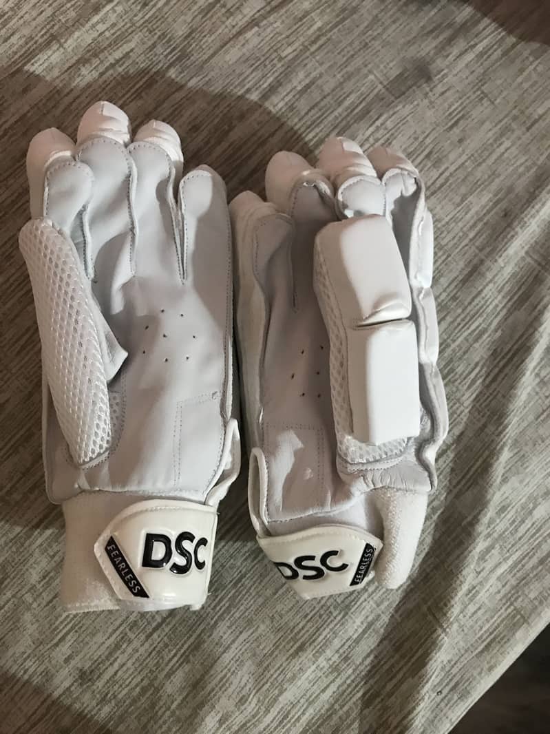 DSC Gloves 1