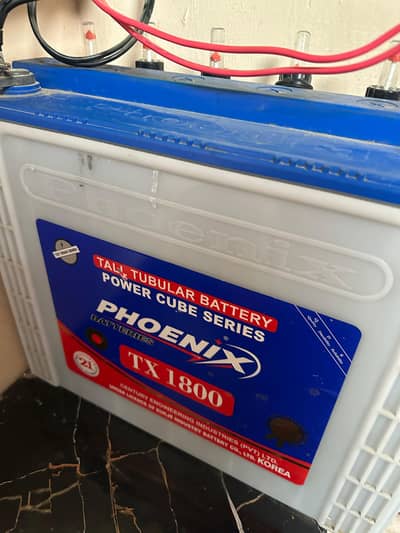 Trion Inverter and phoenix bettry