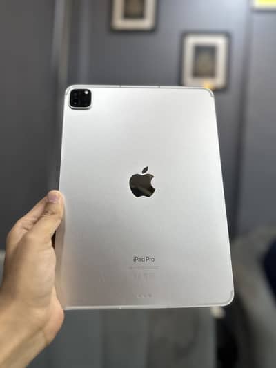 ipad pro m2 128gb 4th gen non pta physical + e