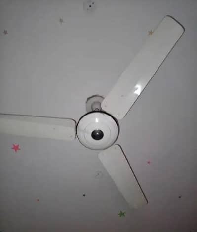 Wahid fan pure copper 56"kit 03231785547