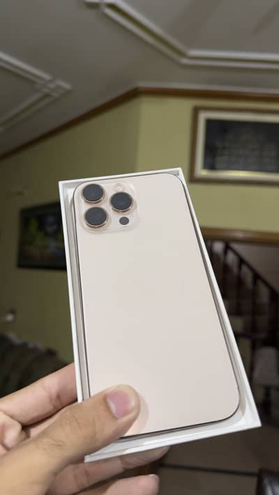 Apple iPhone 16 Pro Max