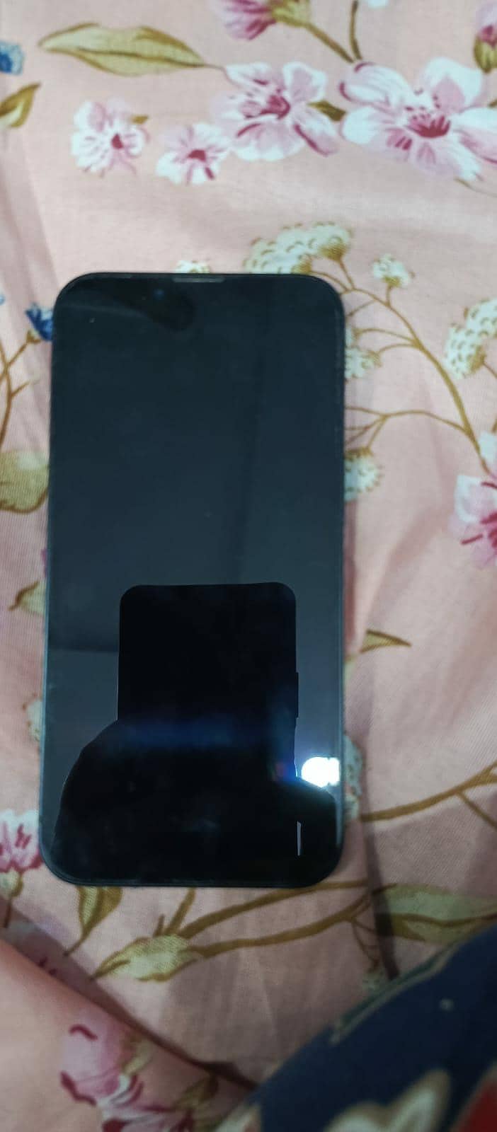 IP 13 0