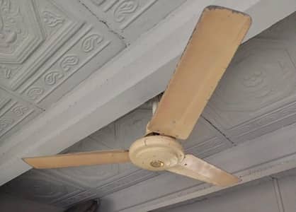 Ceiling Fan