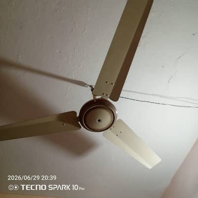 Super Asia ceiling fan 100 % copper Large size