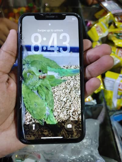 Apple iPhone 11 JV 64GB