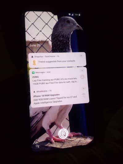 One Plus 7T
