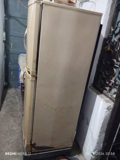 Pel Fridge WORKING Condition