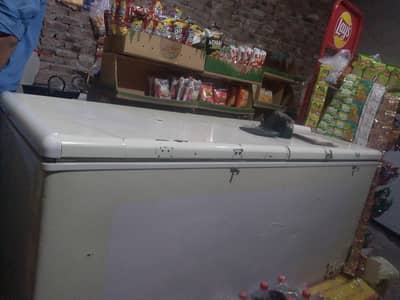 jumbo size deep freezer