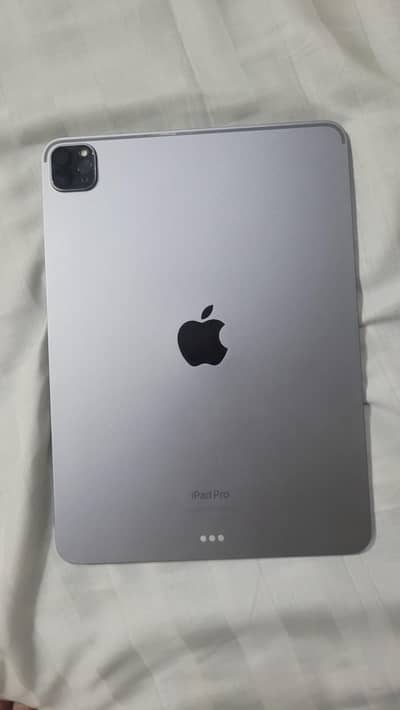 ipad Pro M2 256 gb wifi+cellular 95% Health