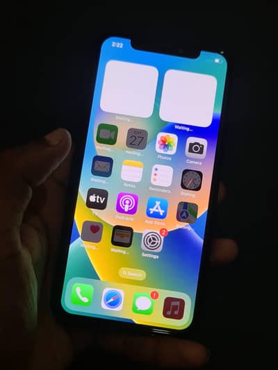 iPhone X approved