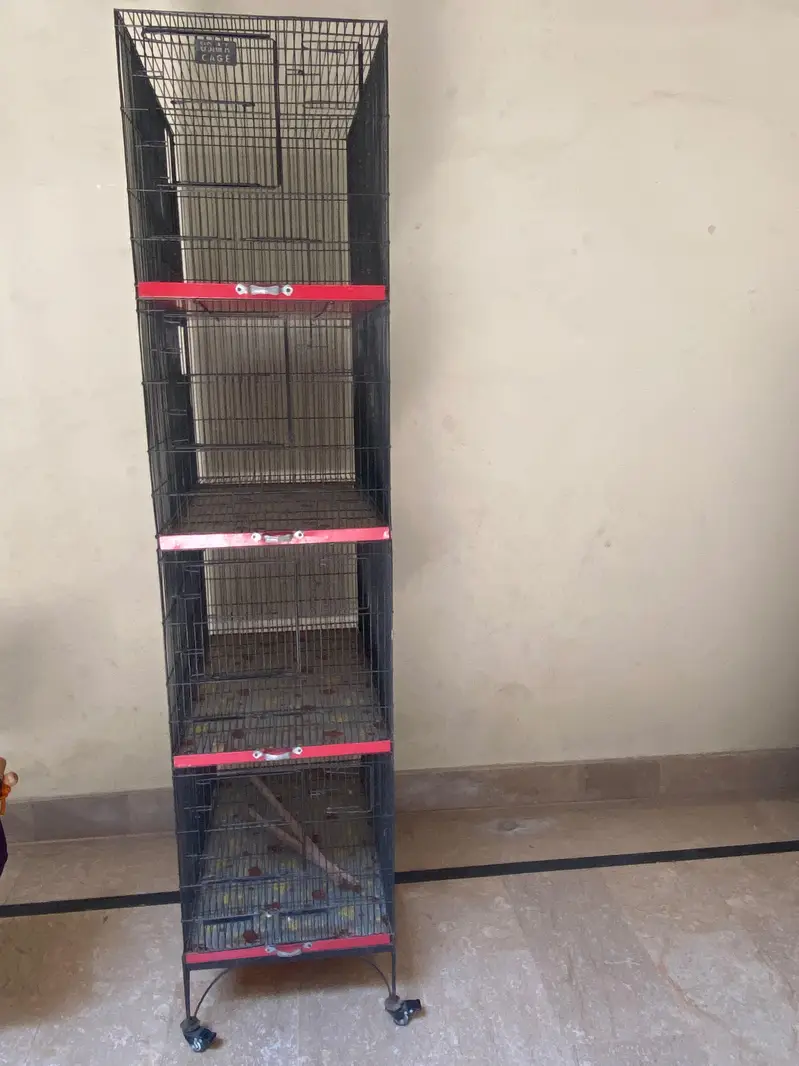 Cage for sale, bird cage, hen cage — photo 2
