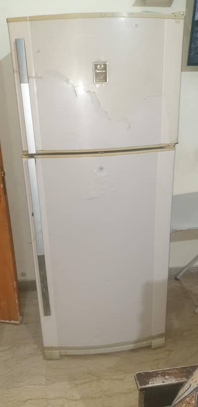 Dalliance jambo size
