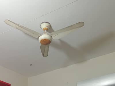 Indus Ceiling Fans for sale