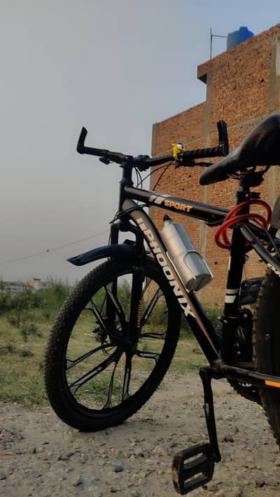 Phoenix Bicycle size  26