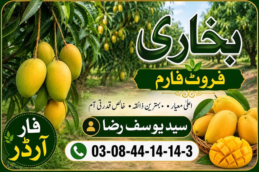 چونسہ آم ڈائریکٹ فارم سے | فریش، میٹھے اور بہترین کوالٹی 0
