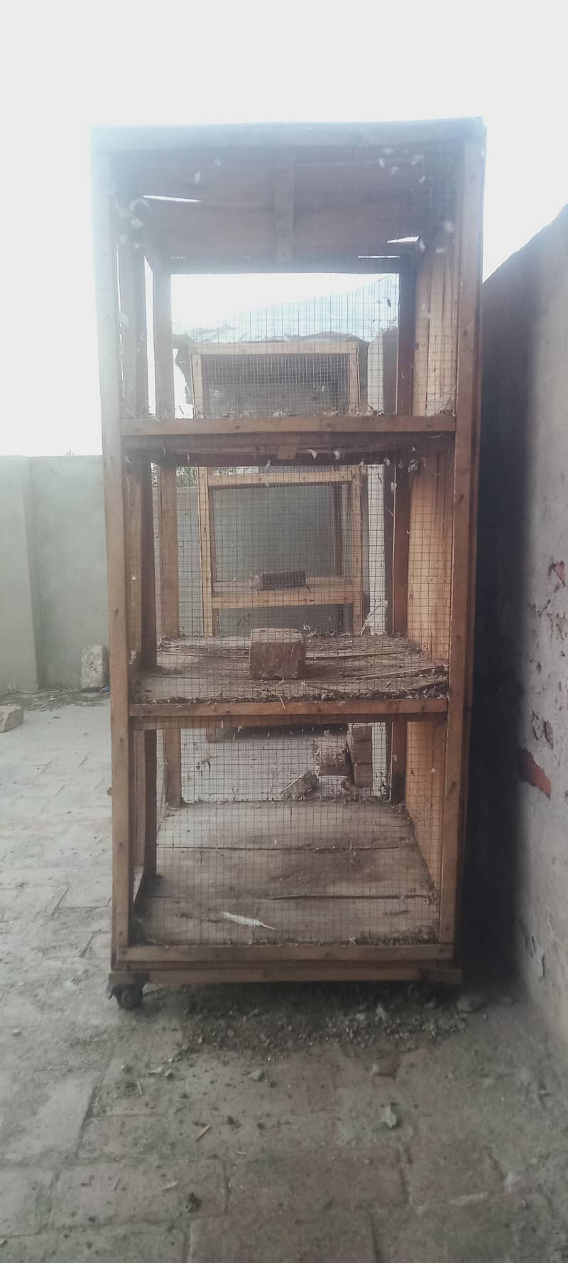 3 portion cage 2