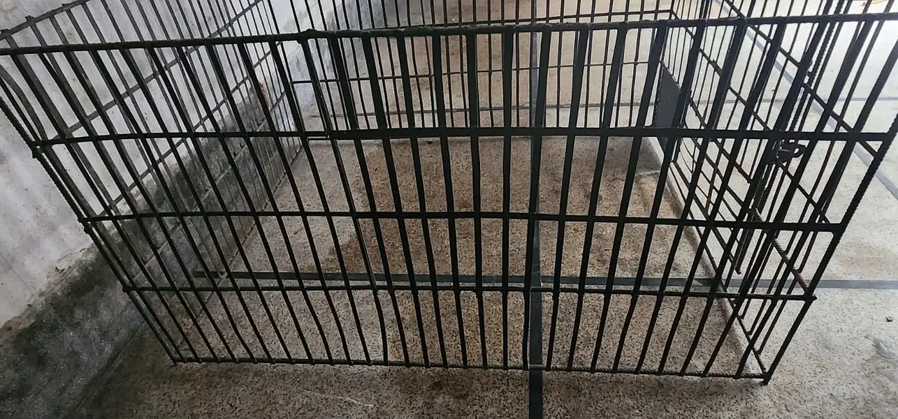 Cage High Quality
