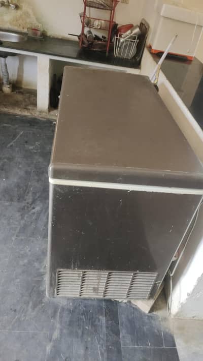 Haier Single Door Freezer