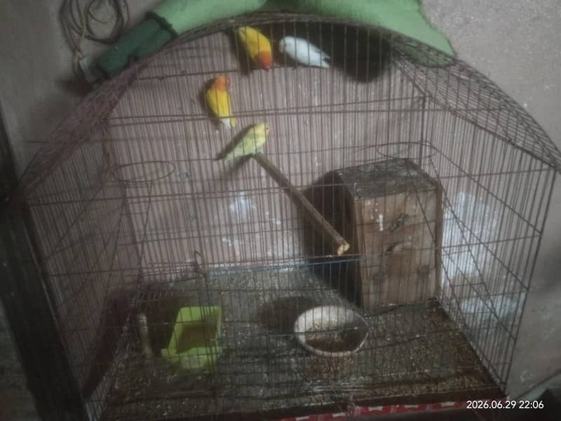 breeder 2
