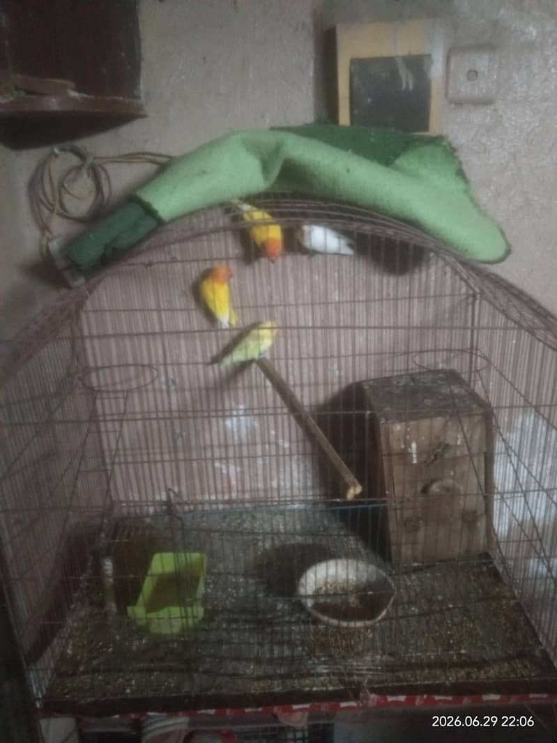 breeder 3