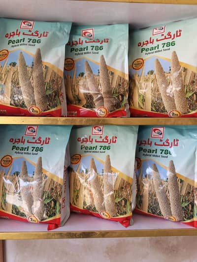 Hybrid Millet Seed 786