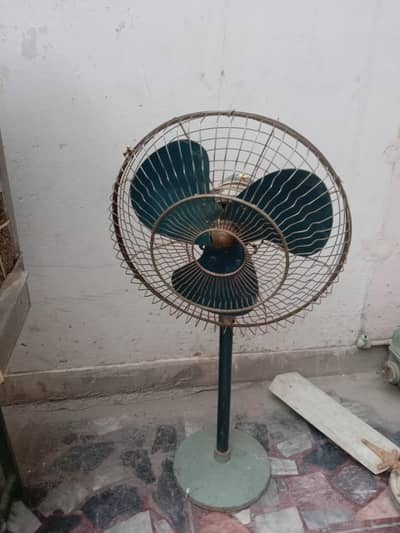 zam zam fan of medium size