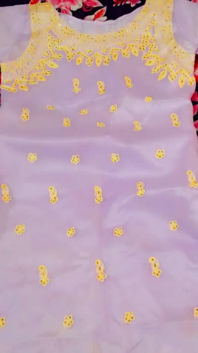 New Women's Dress