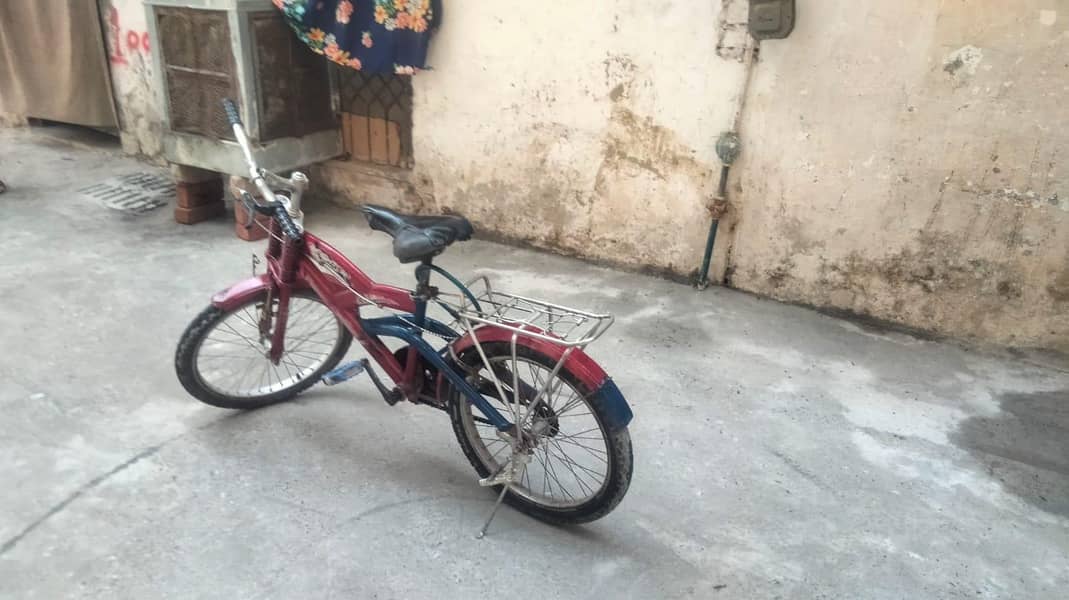 bicycle 2